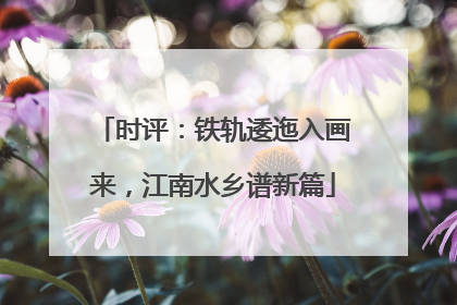 时评：铁轨逶迤入画来，江南水乡谱新篇